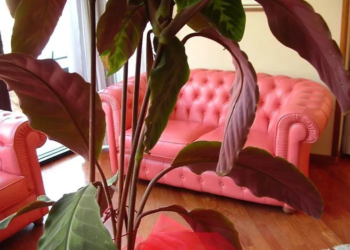 Hotel Waldorf 4*